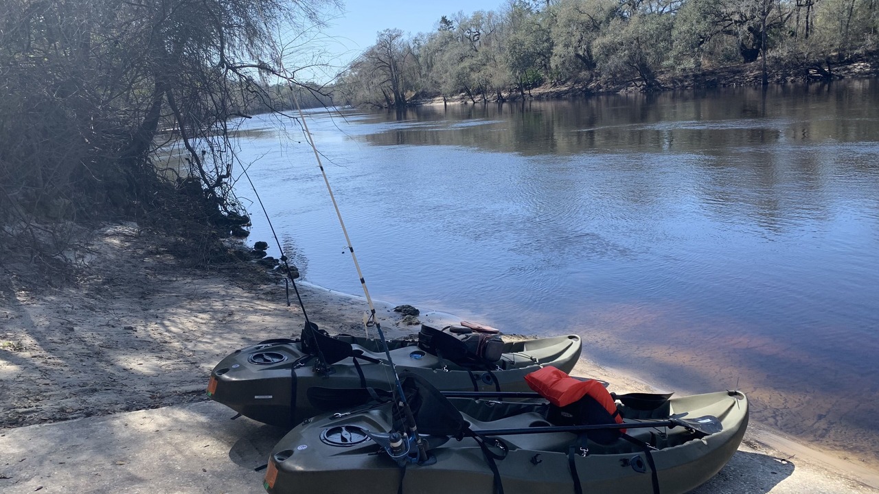 Photo of Others in Live Oak