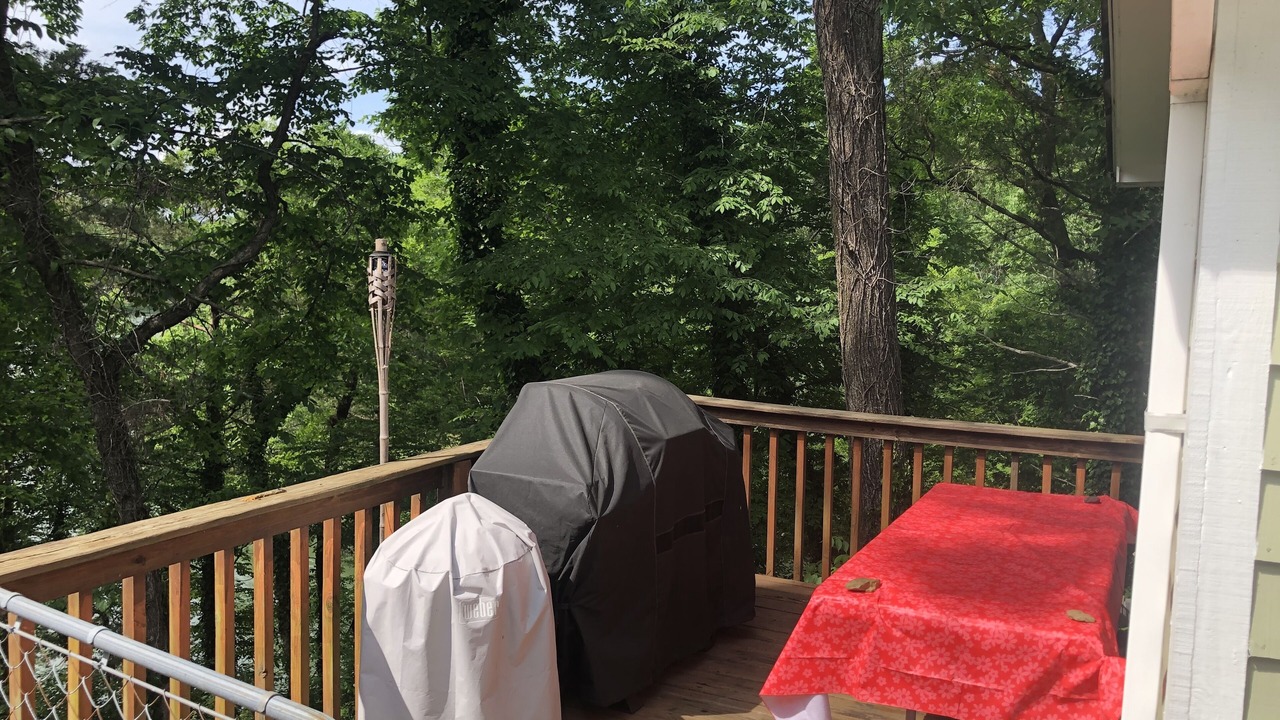 Photo of Outdoor in Northport