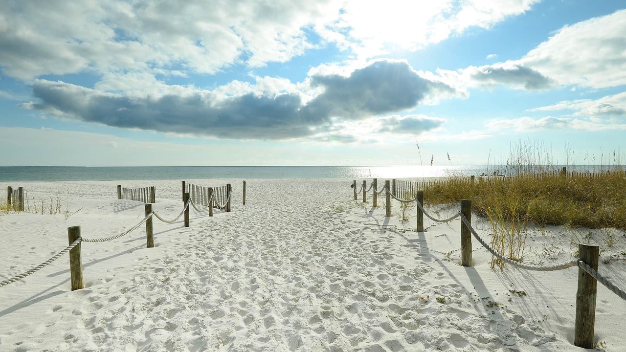 Photo of Others in Mexico Beach