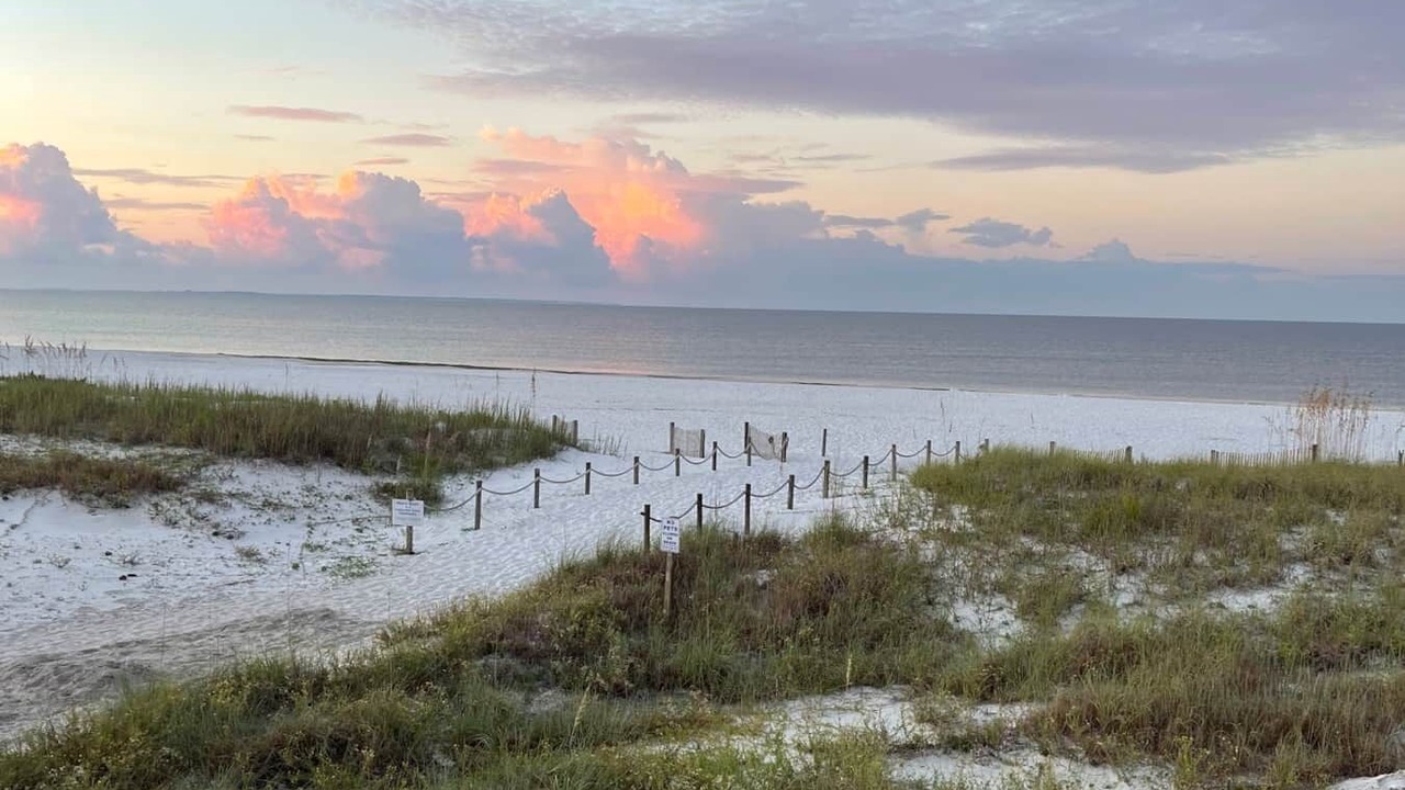 Photo of Others in Mexico Beach