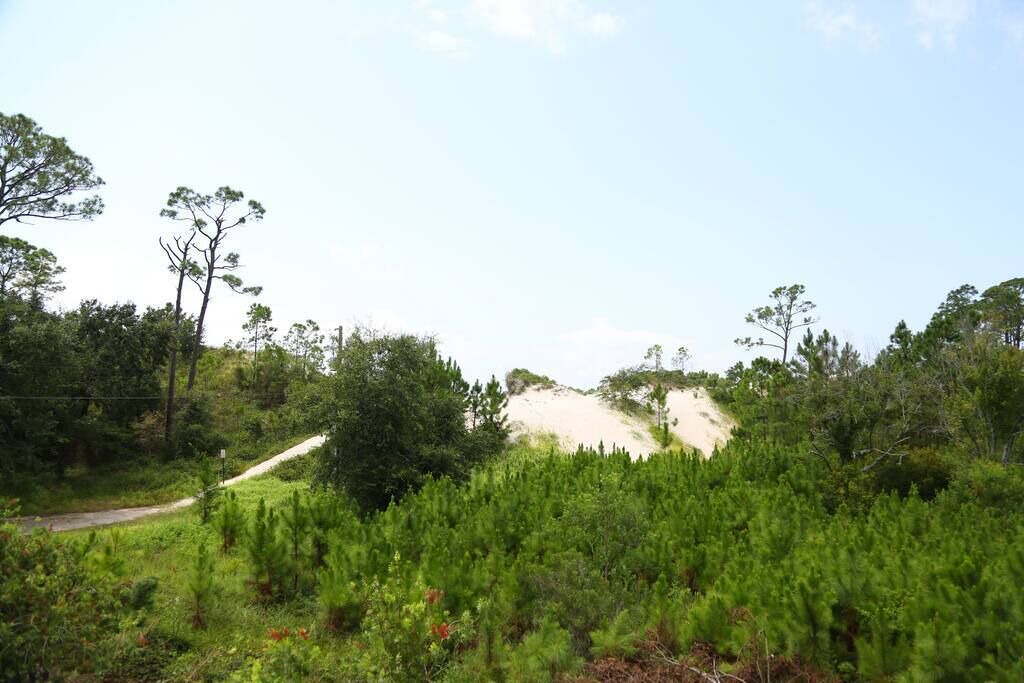 Photo of Others in Dauphin Island