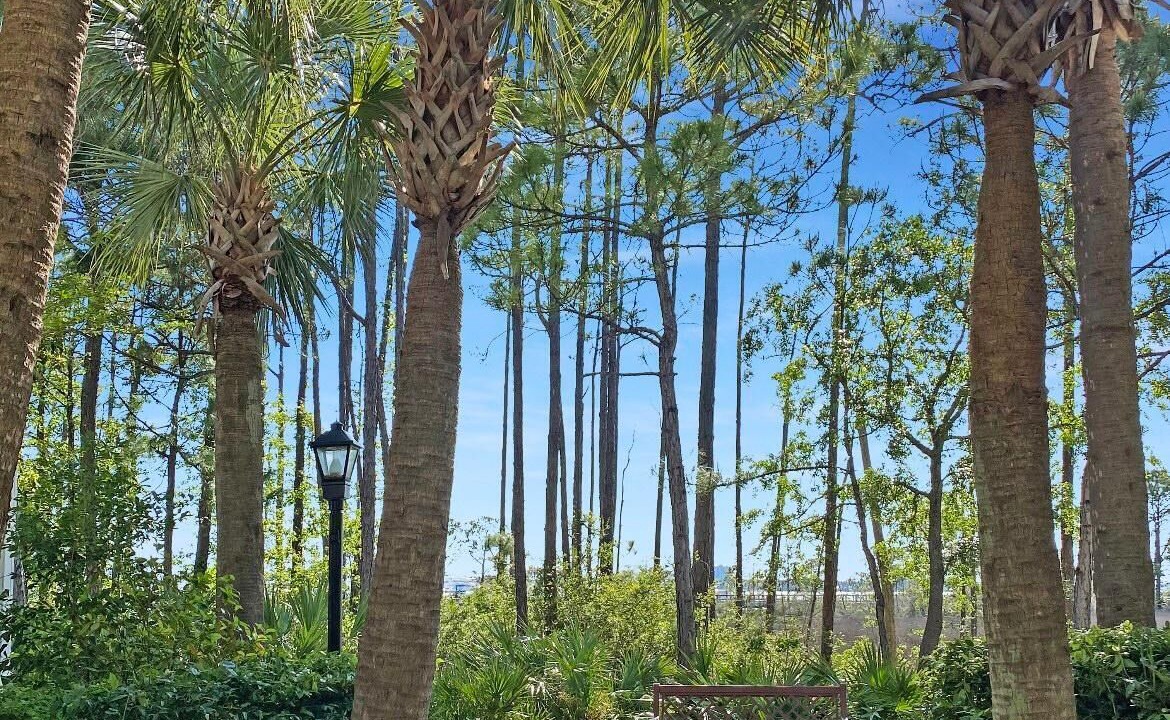 Photo of Outdoor in Baytowne Wharf