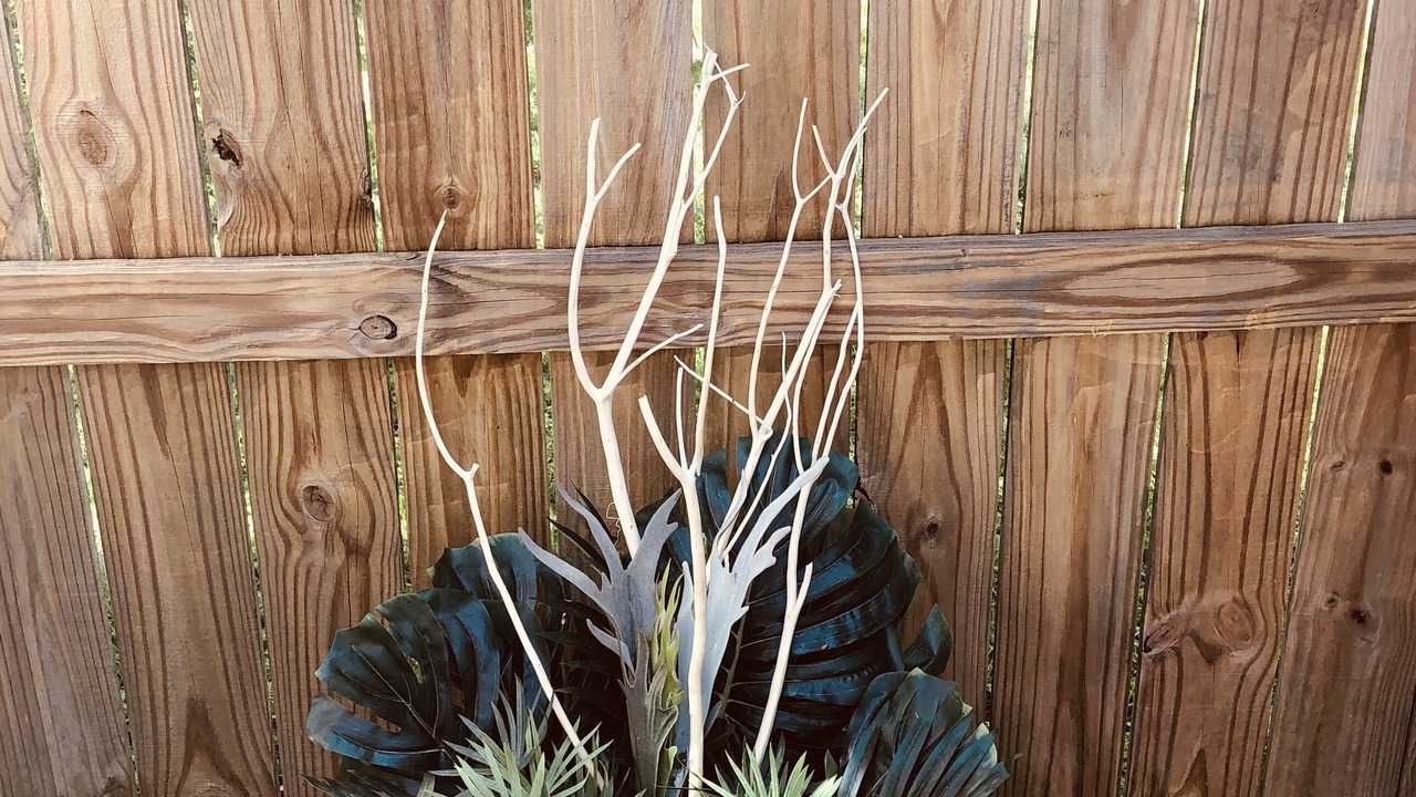 Photo of Outdoor in Long Beach