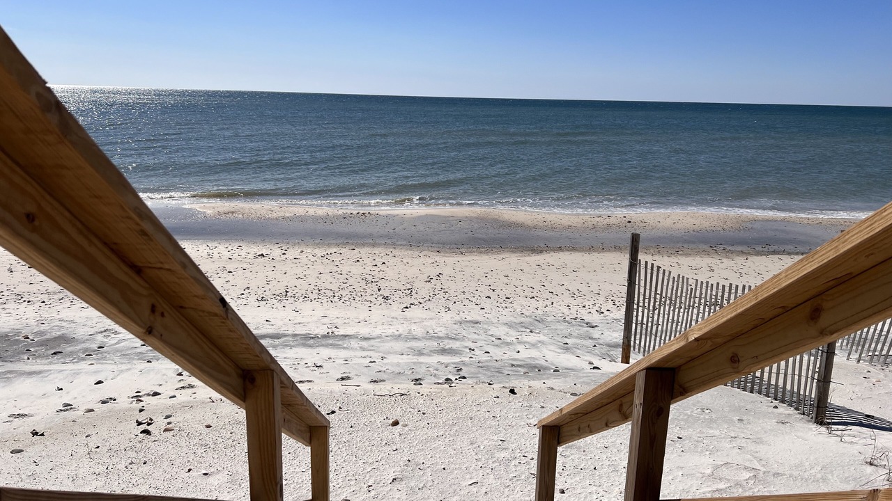 Photo of Others in Cape San Blas