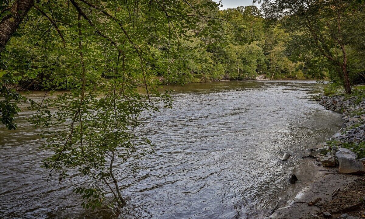 Photo of Others in Ellijay