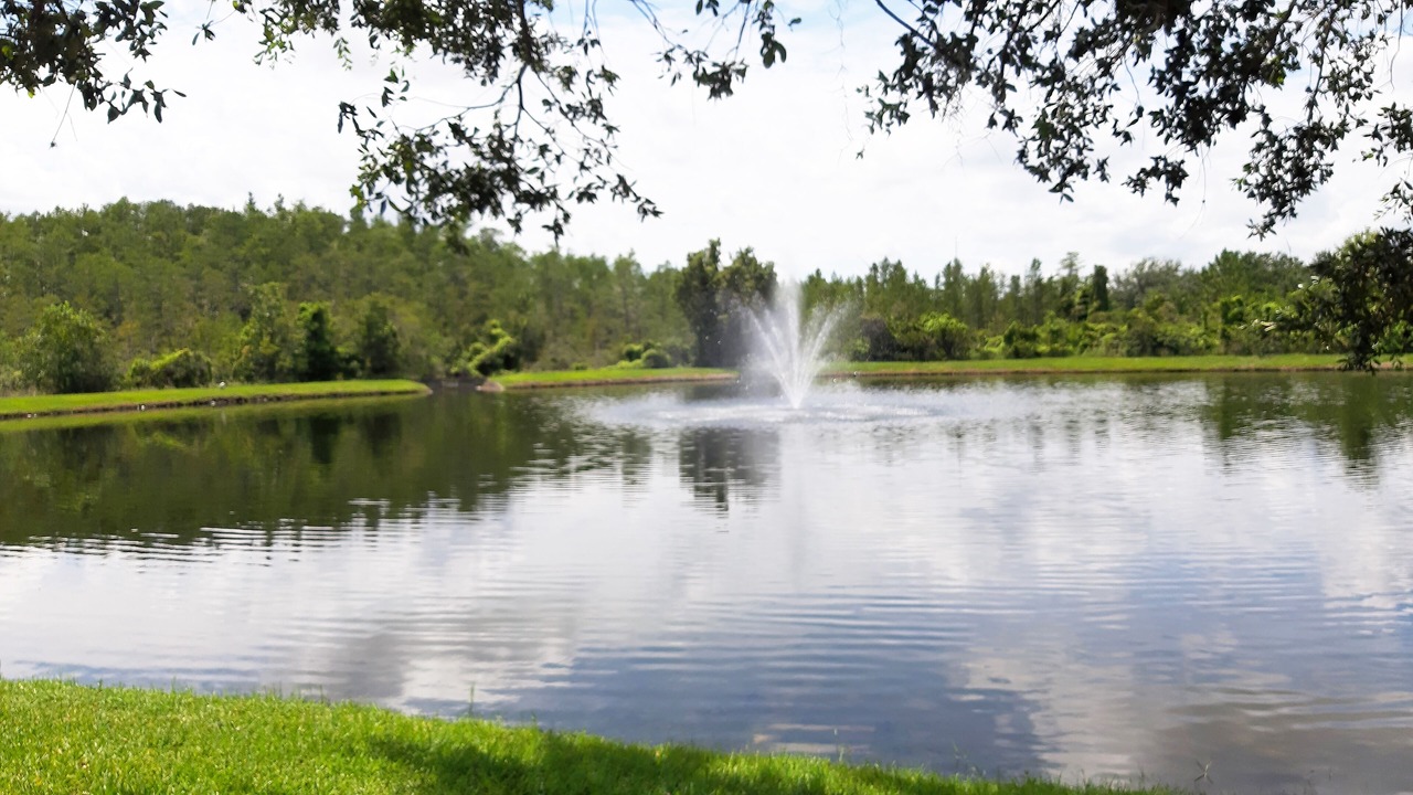 Photo of Outdoor in Orlando