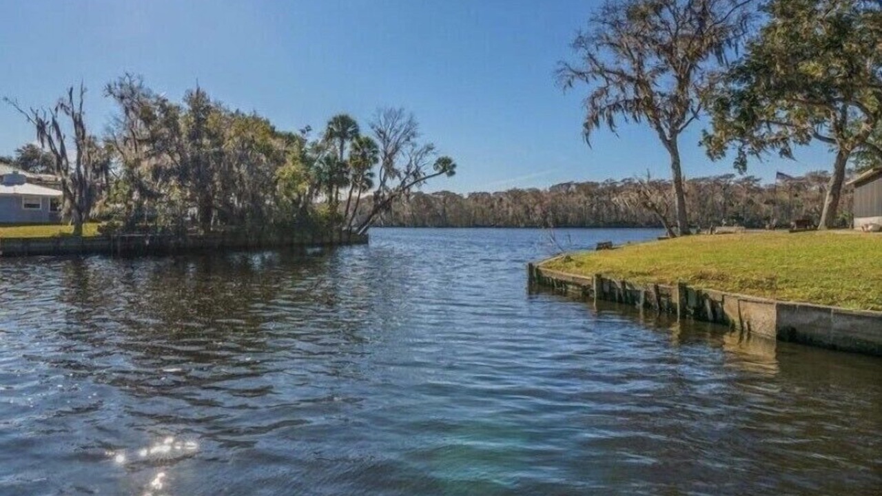 Photo of Others in Satsuma