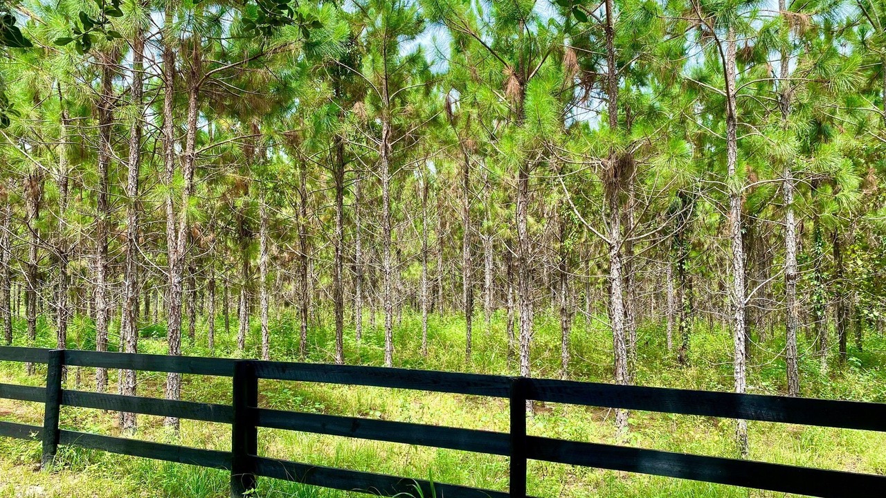 Photo of Outdoor in Eustis