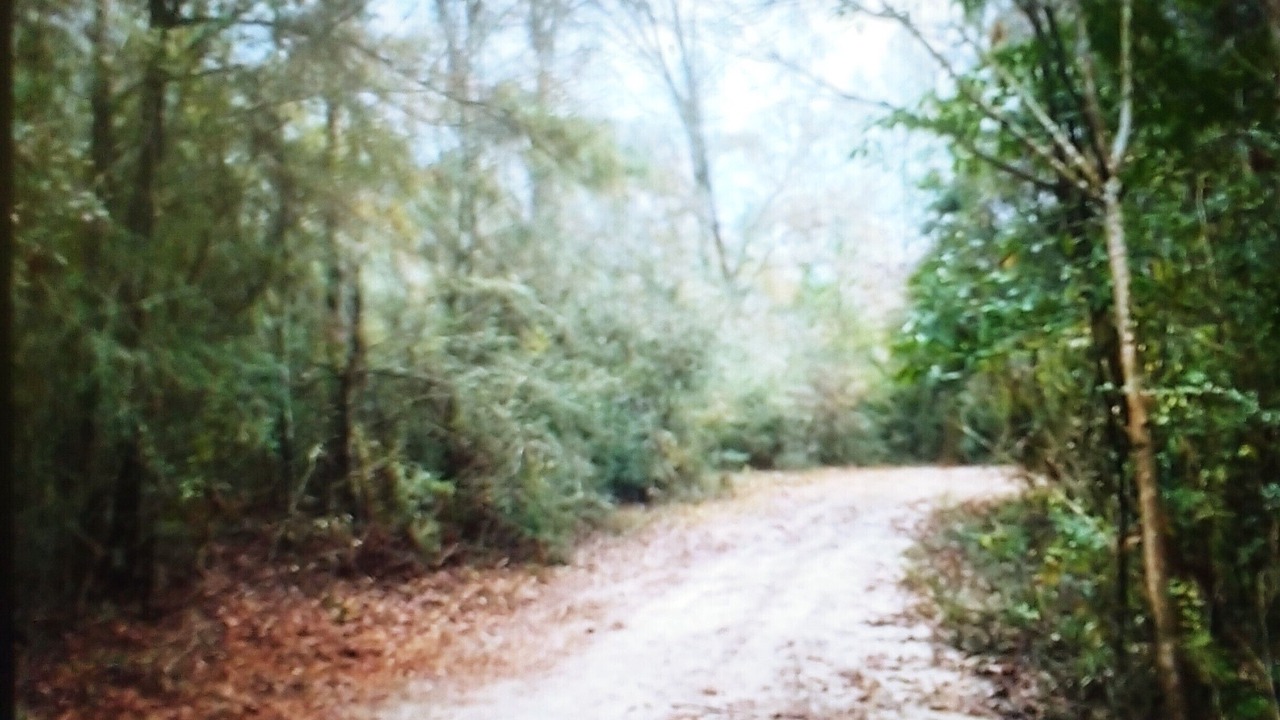 Photo of Outdoor in Poplarville