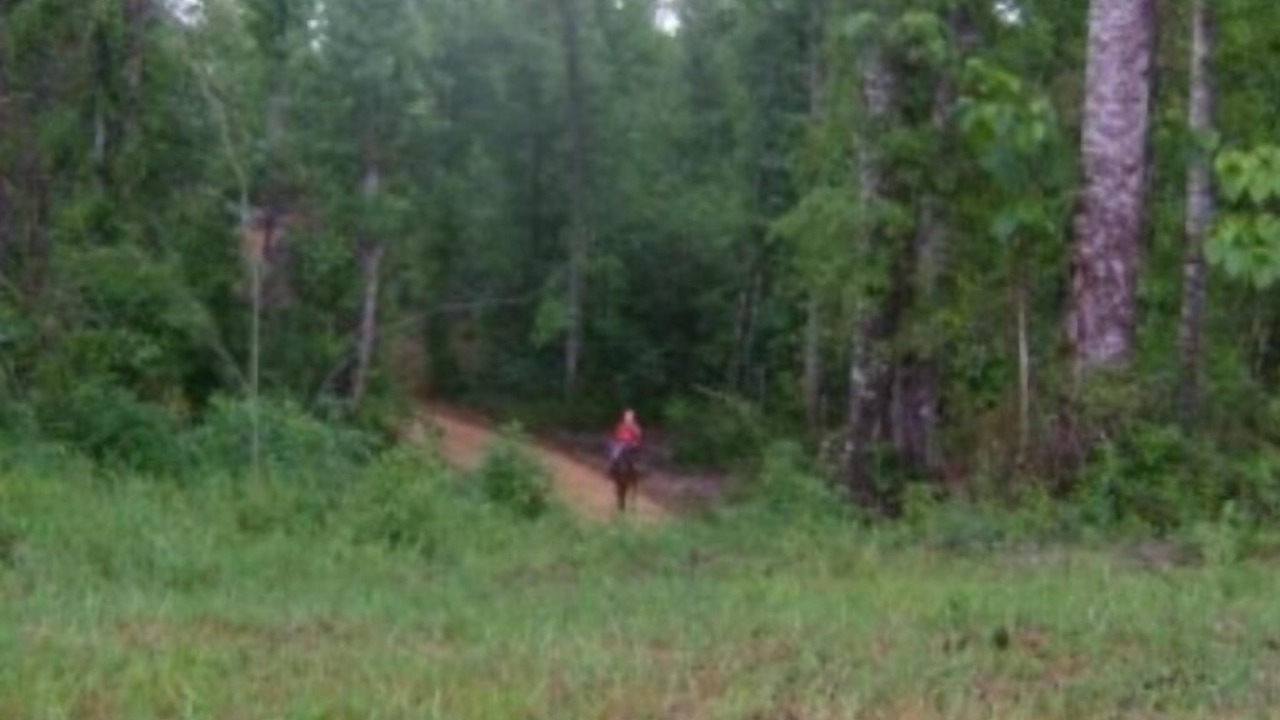 Photo of Outdoor in Poplarville