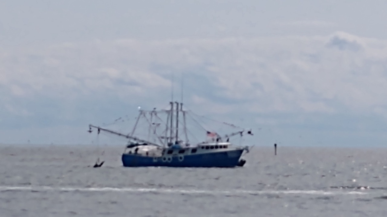 Photo of Others in Melrose on the Beach