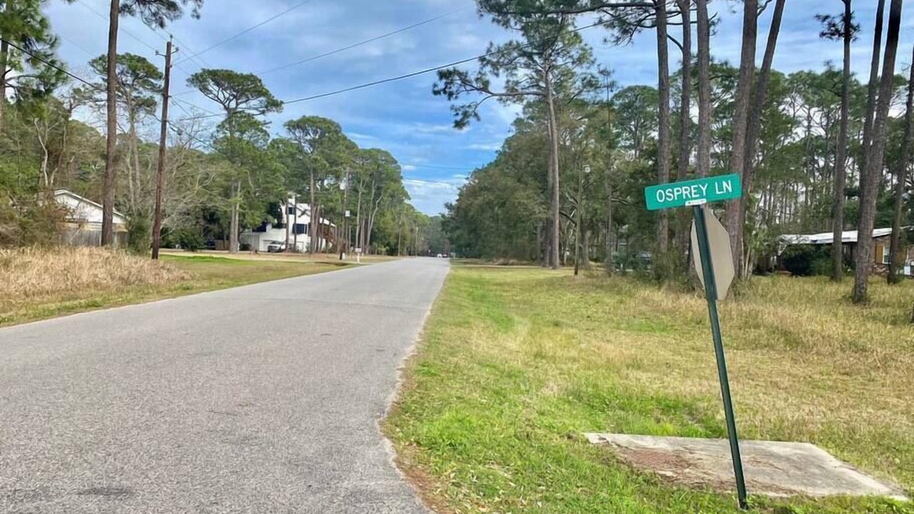 Photo of Outdoor in Dauphin Island