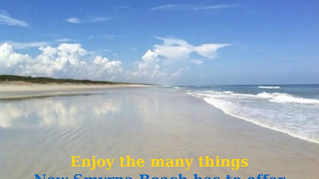 Photo of Others in New Smyrna Beach