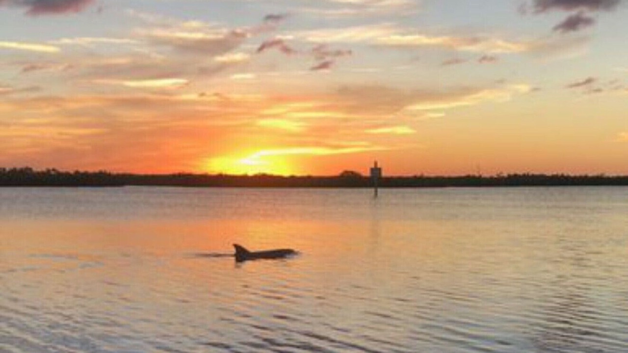 Photo of Others in New Smyrna Beach
