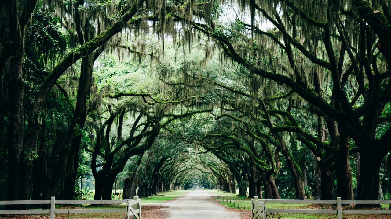 Photo of Others in Historic District - North