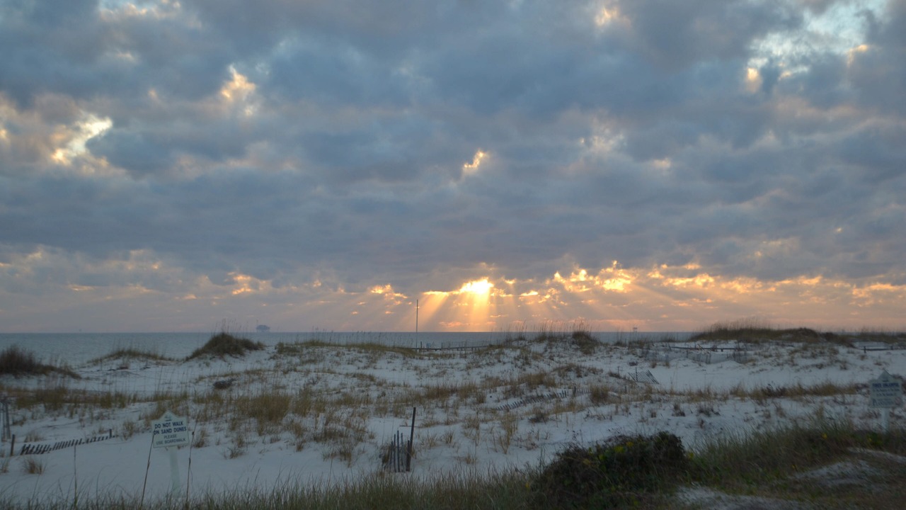 Photo of Others in Gulf Shores