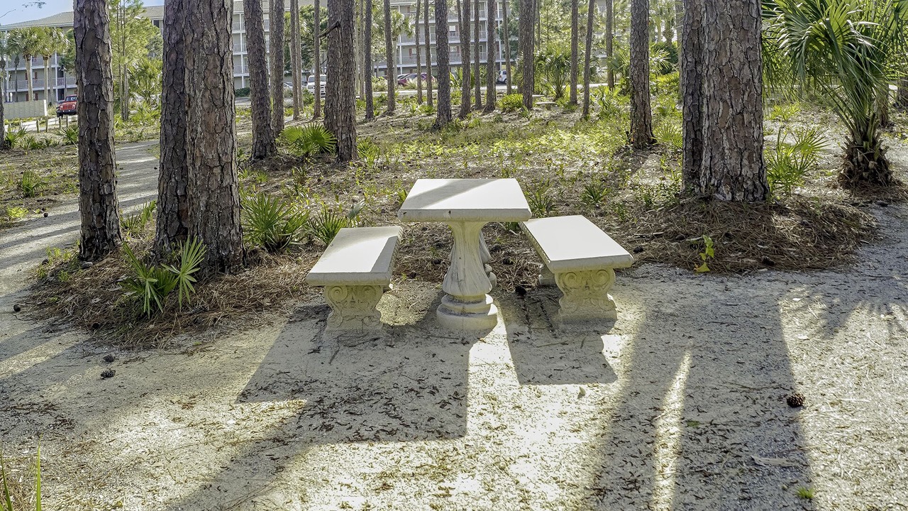 Photo of Outdoor in Gulf Place