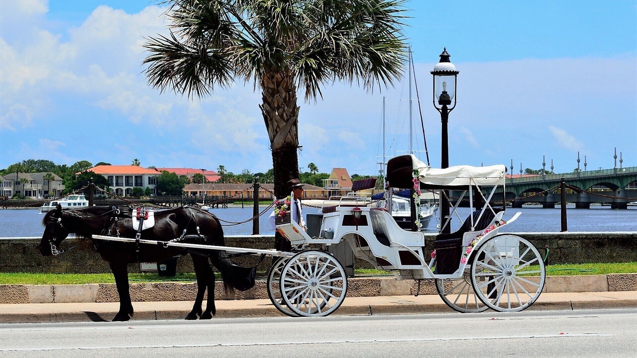 Photo of Others in Saint Augustine Shores