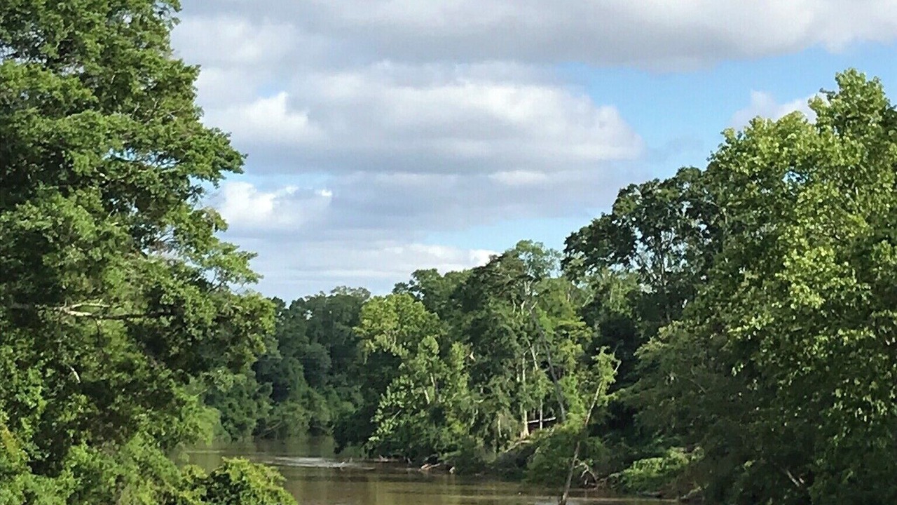 Photo of Others in Tylertown