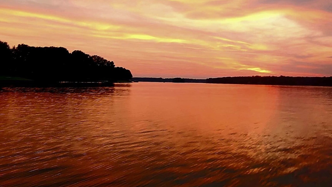 Photo of Others in Reynolds Landing