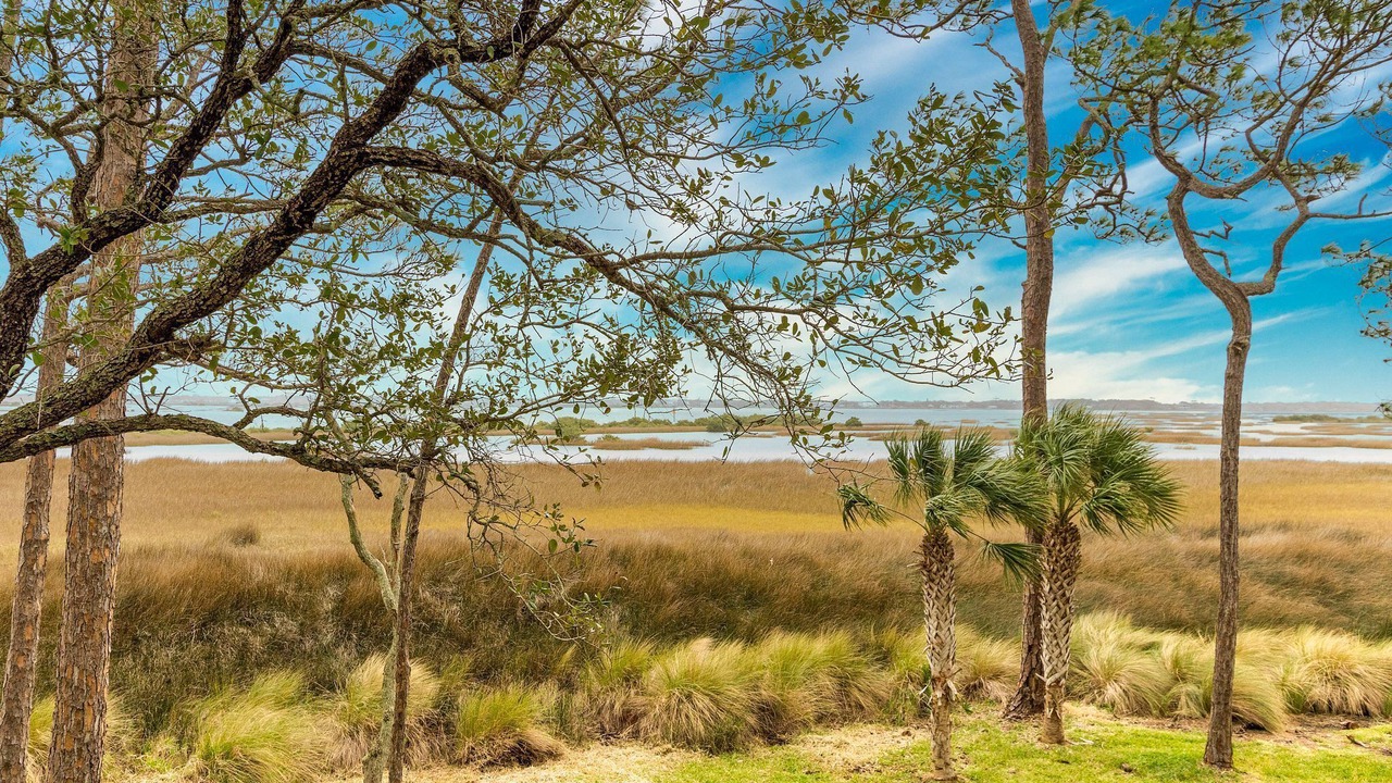 Photo of Outdoor in Saint Augustine Shores