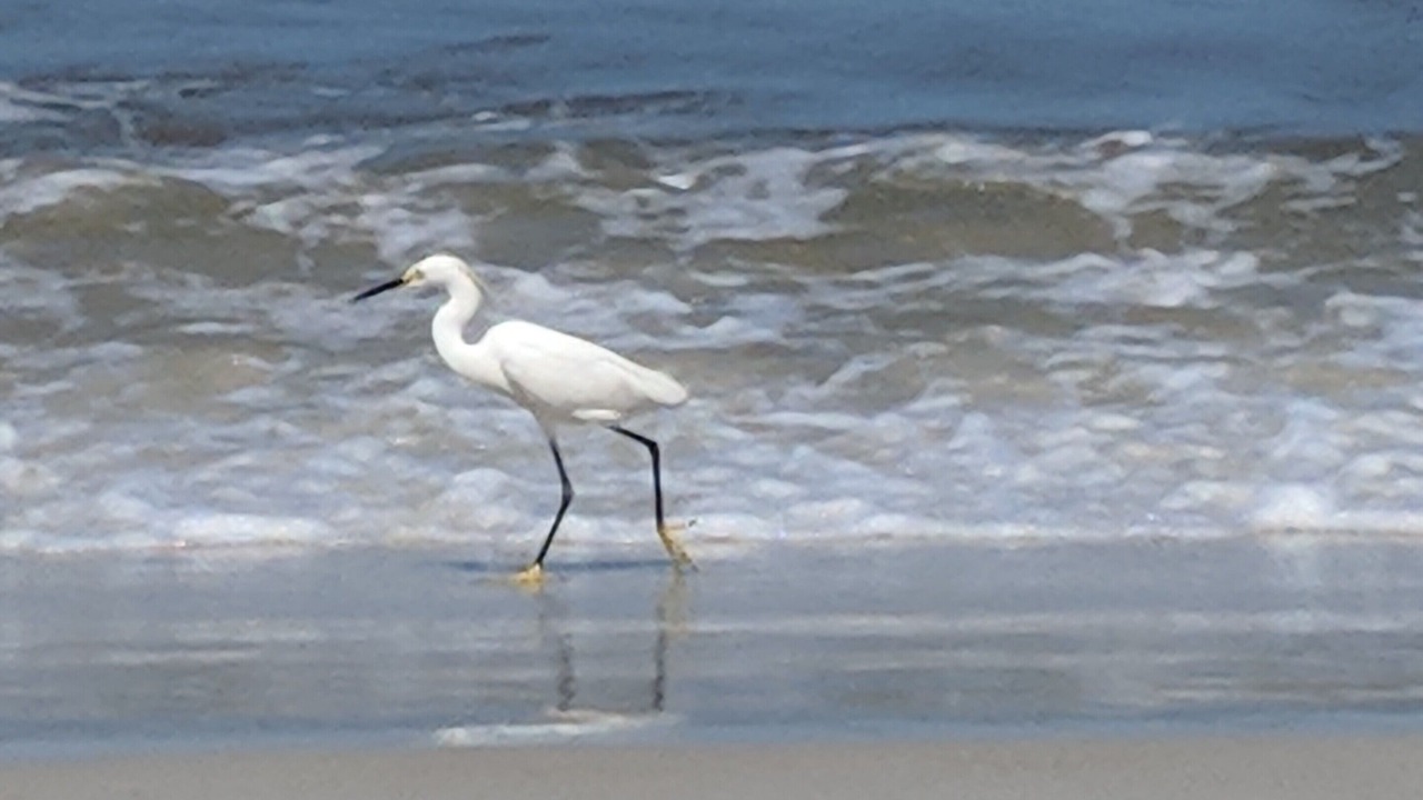 Photo of Others in Coquina Gables