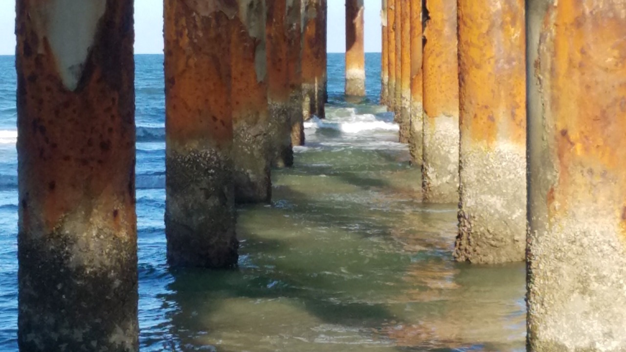 Photo of Others in Coquina Gables