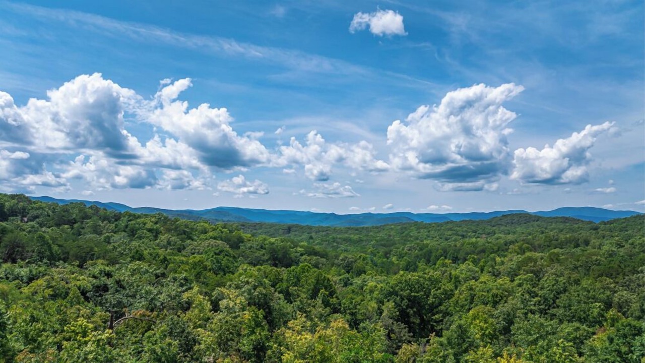Photo of Others in Blue Ridge