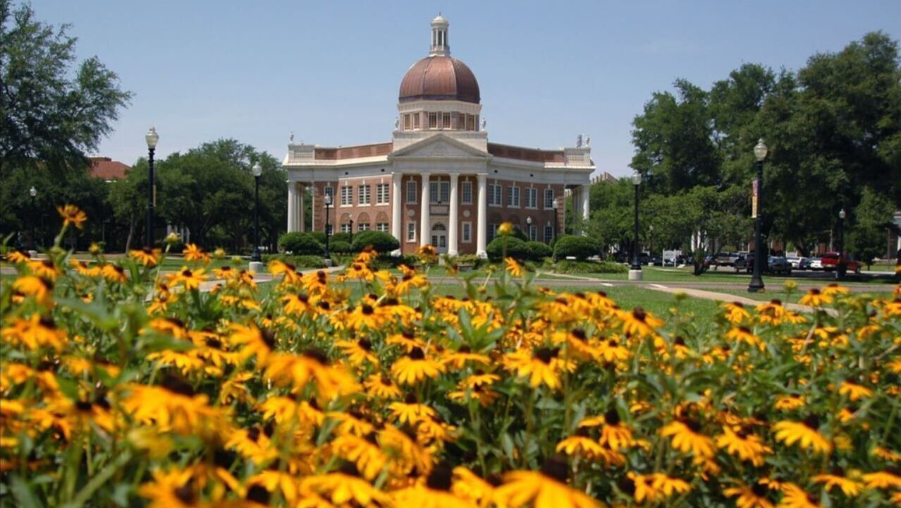 Photo of Others in Hattiesburg