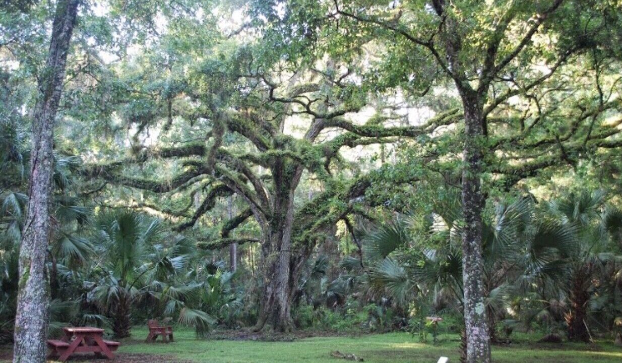 Photo of Outdoor in Umatilla