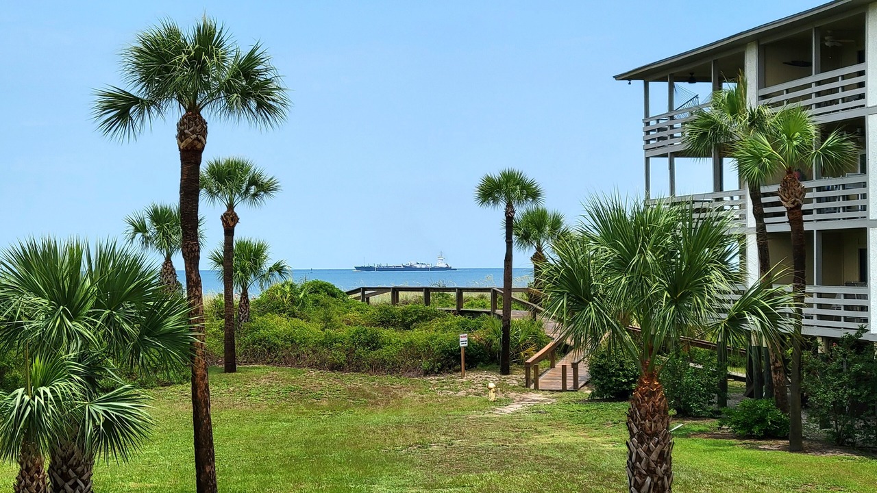 Photo of Others in Tybee Island