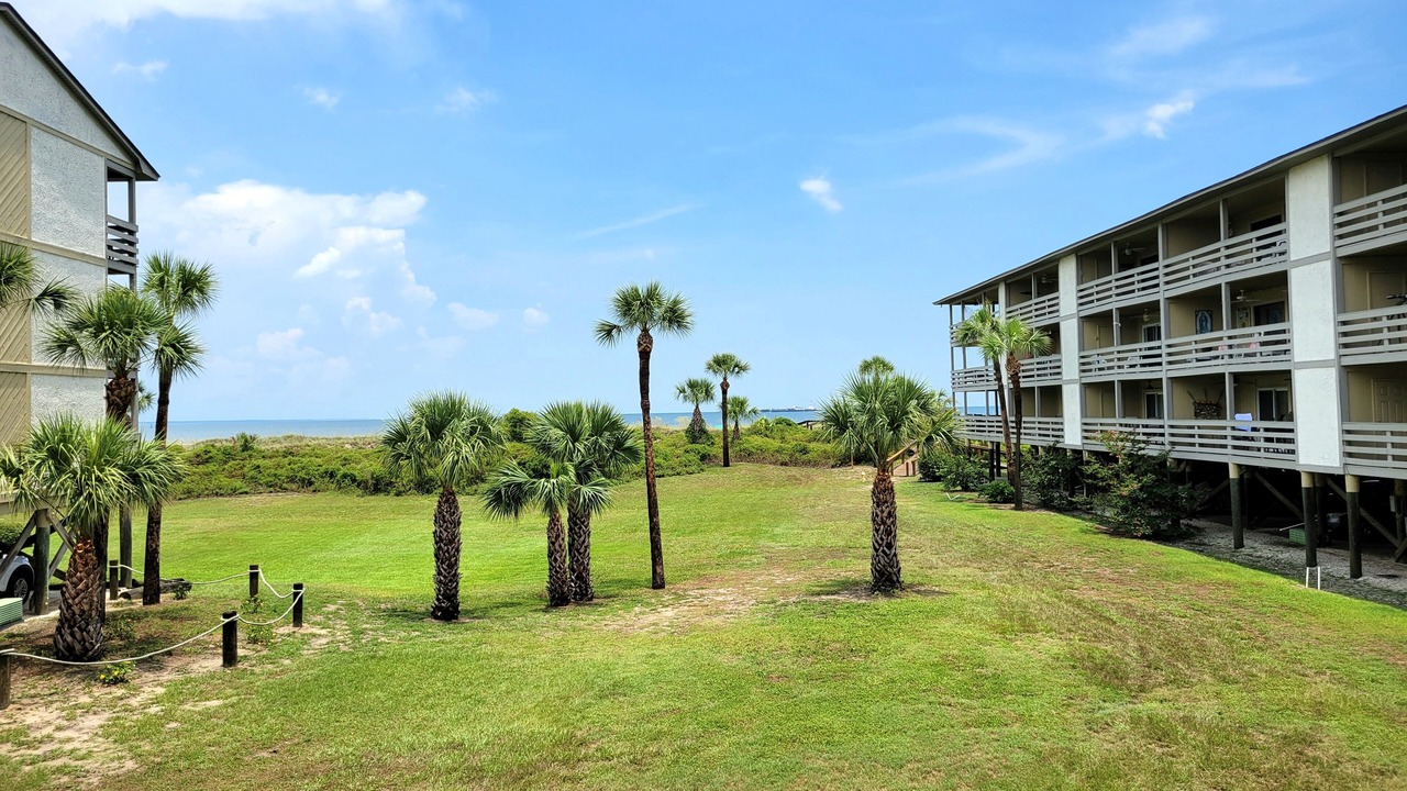 Photo of Others in Tybee Island