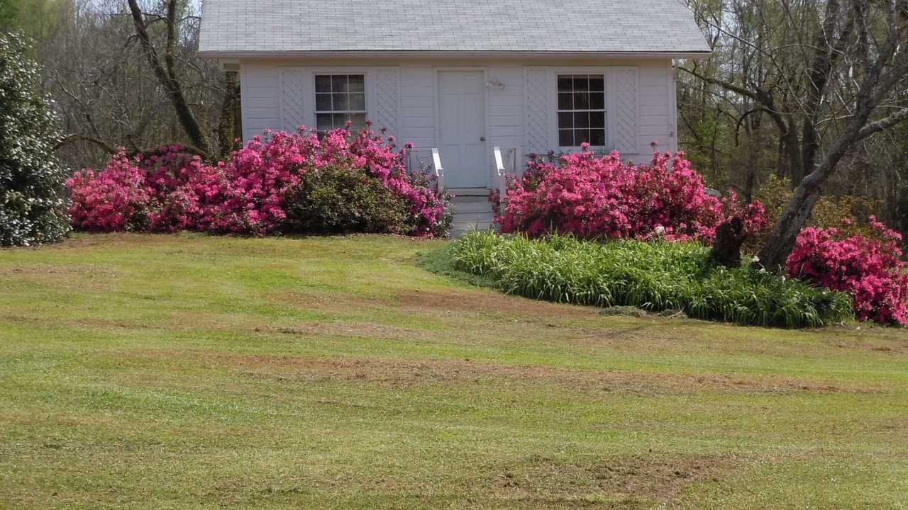 Photo of Outdoor in Warthen