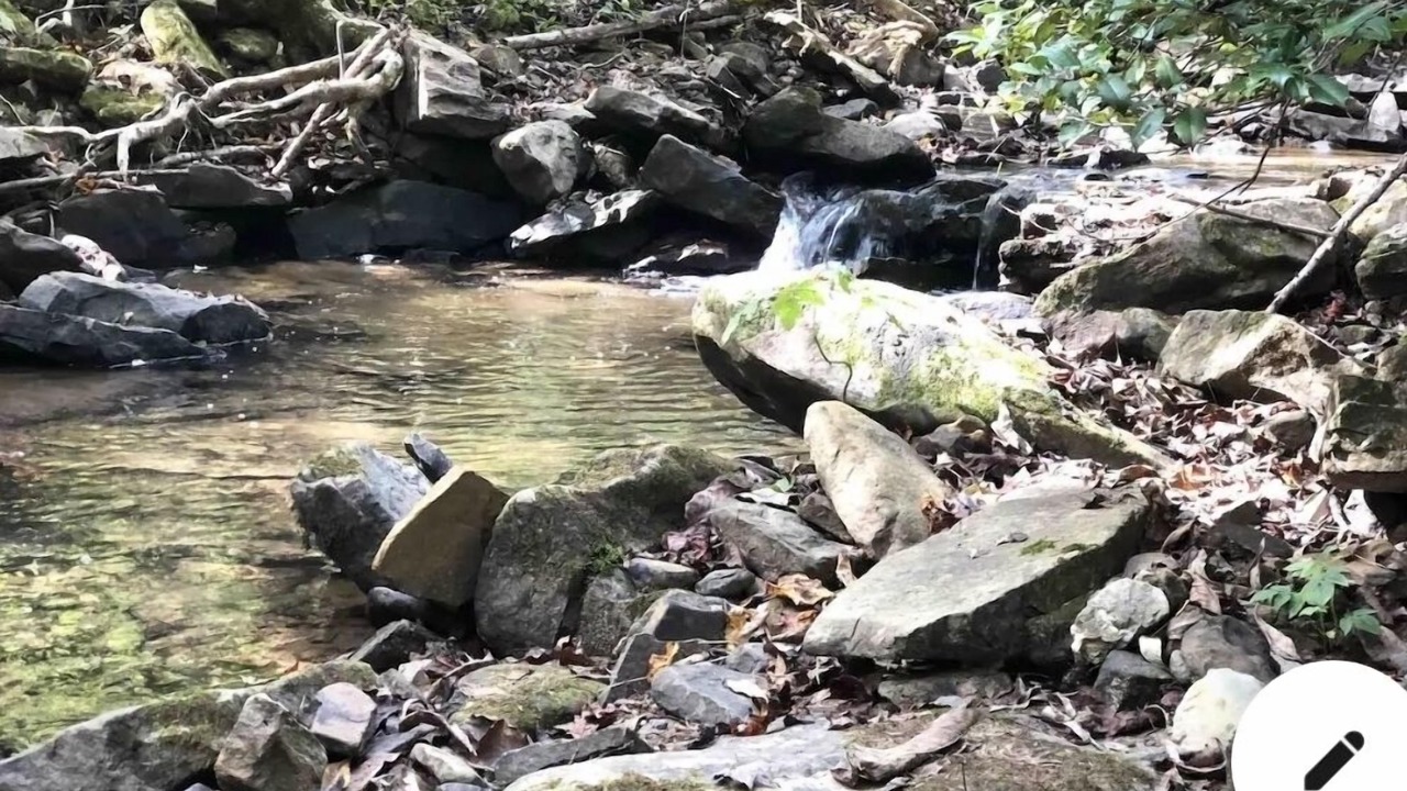 Photo of Others in Lookout Mountain