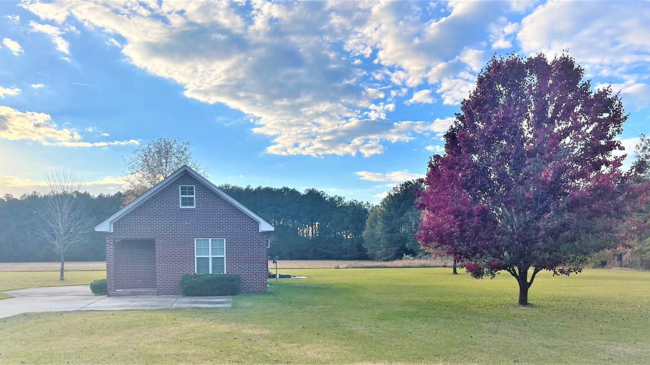 Photo of Outdoor in Starkville