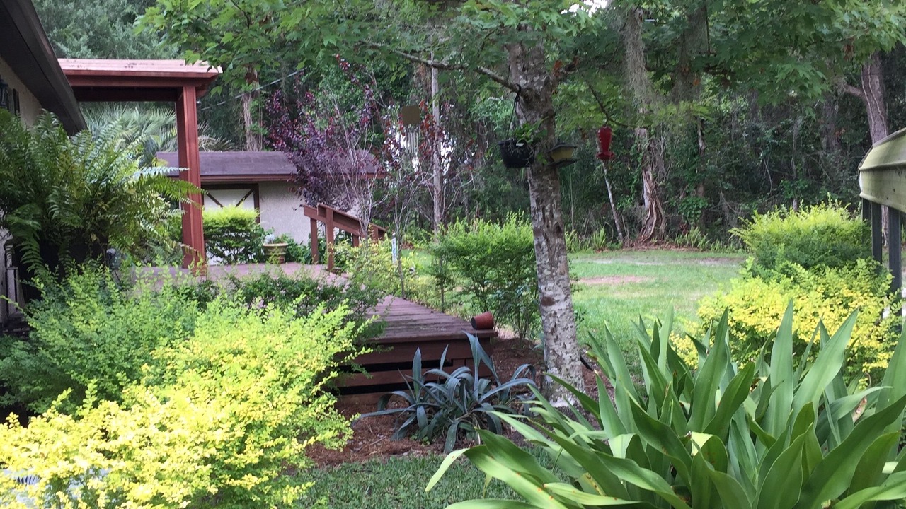 Photo of Outdoor in Melrose