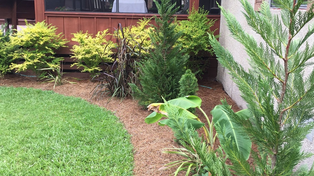 Photo of Outdoor in Melrose