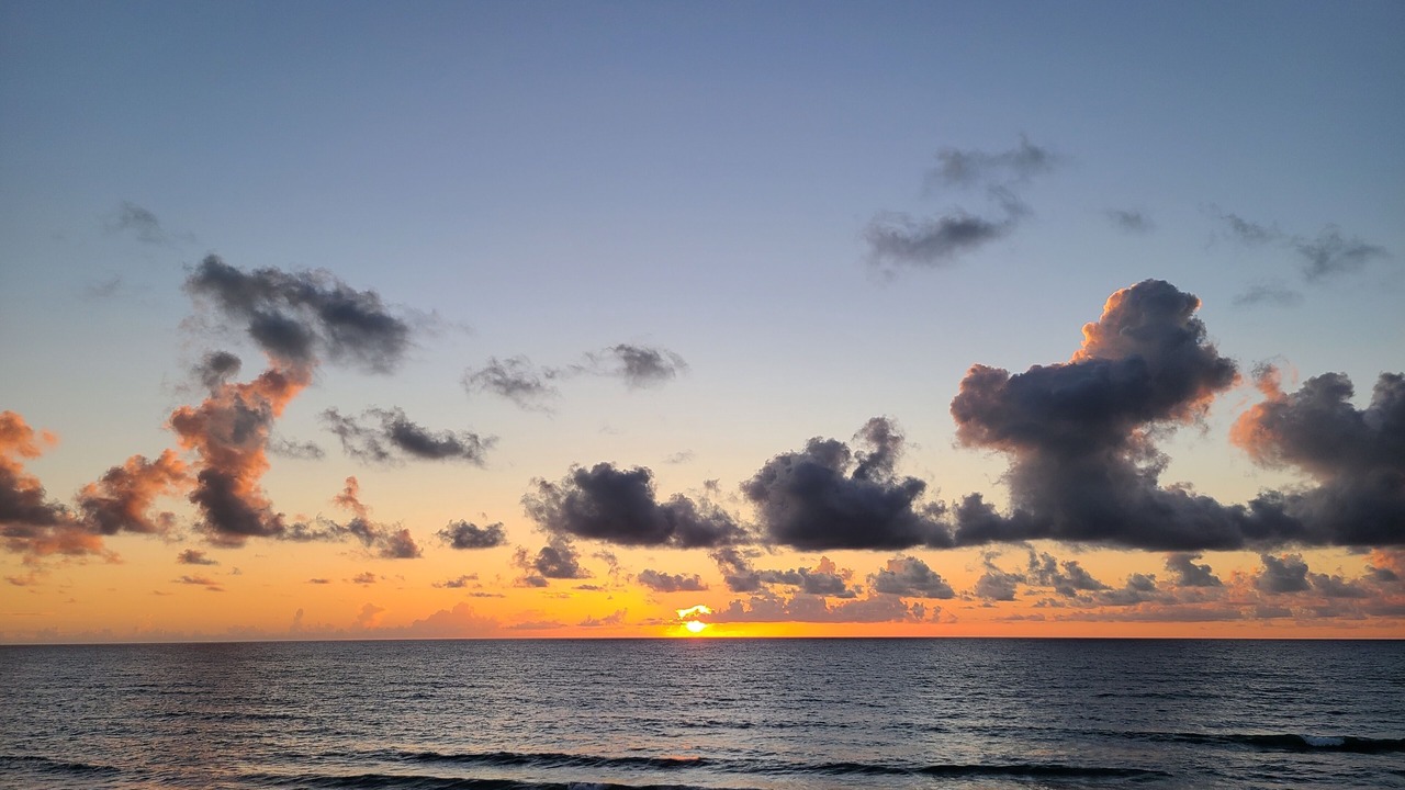 Photo of Others in Ormond Ocean Gard