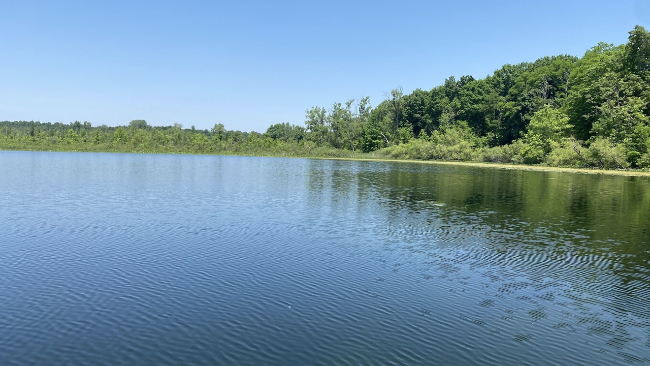 Photo of Outdoor in Smyrna