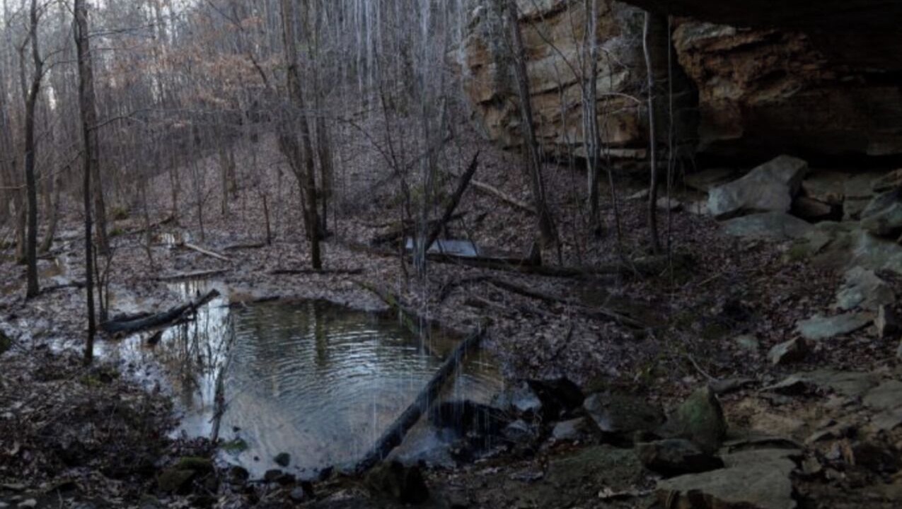 Photo of Others in Tuscumbia