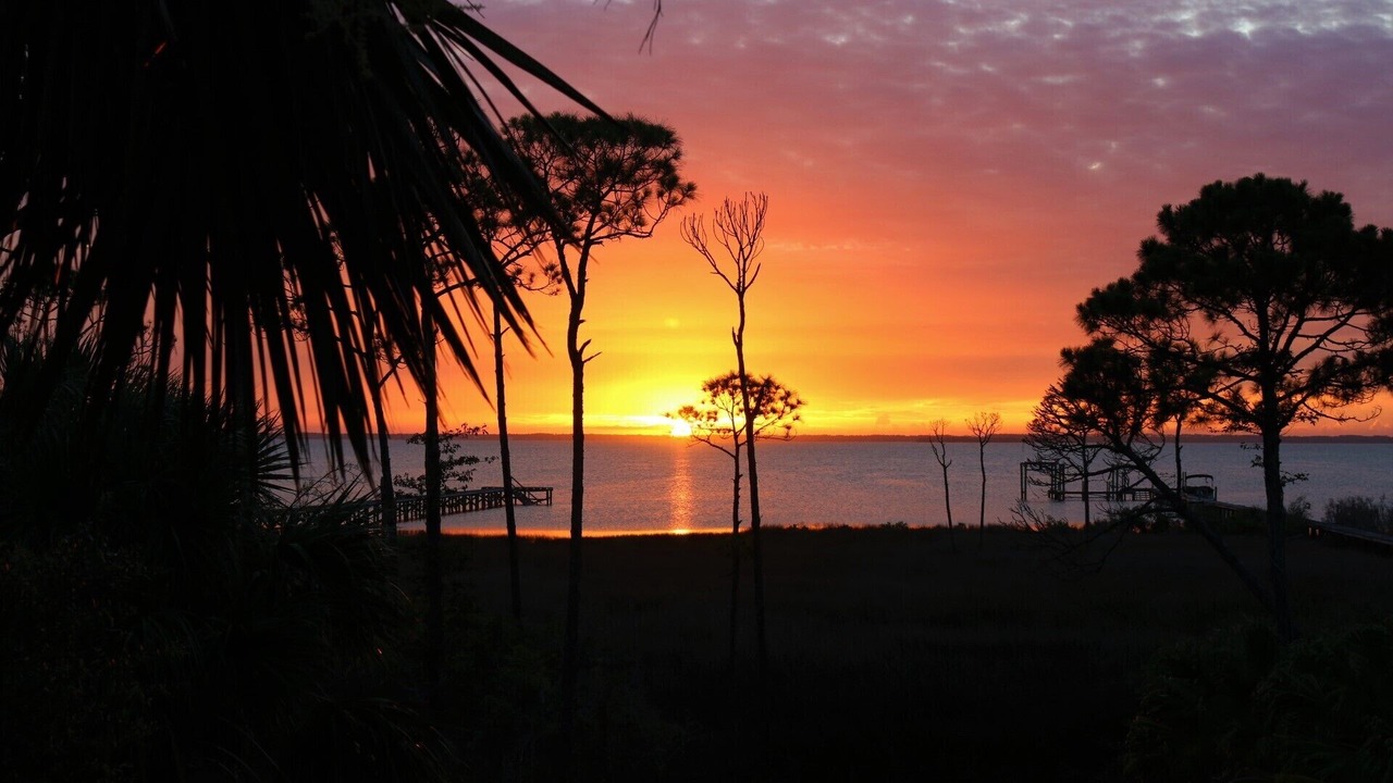 Photo of Others in Cape San Blas