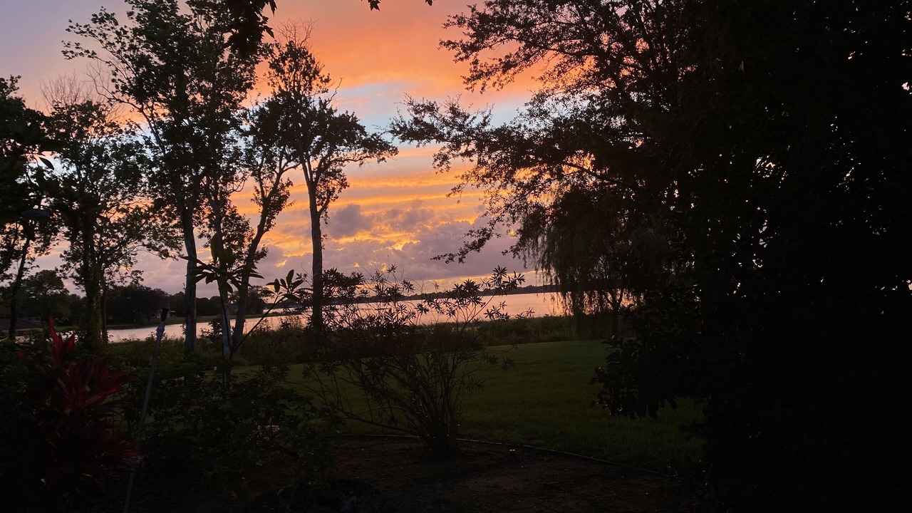 Photo of Outdoor in Mount Dora