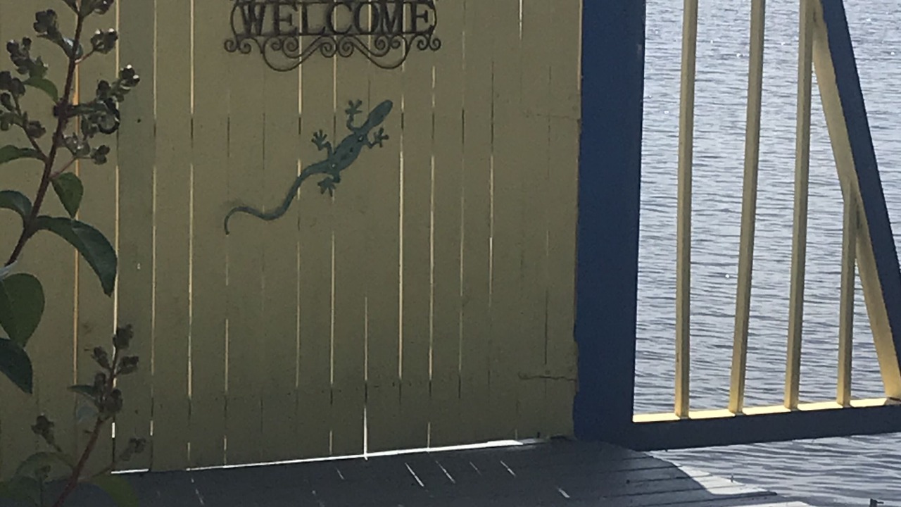 Photo of Others in Crescent City