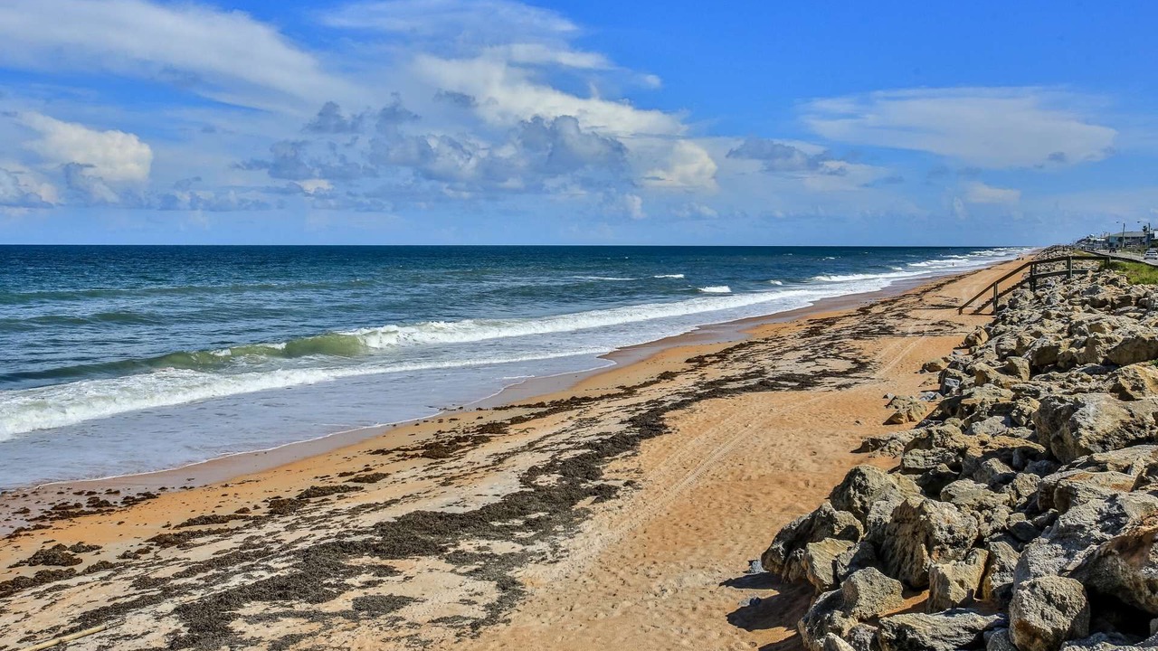 Photo of Others in Flagler Beach