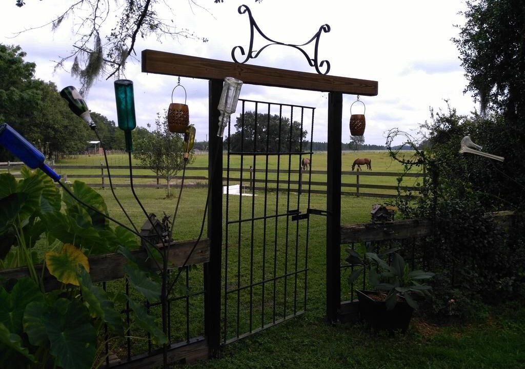 Photo of Outdoor in Live Oak