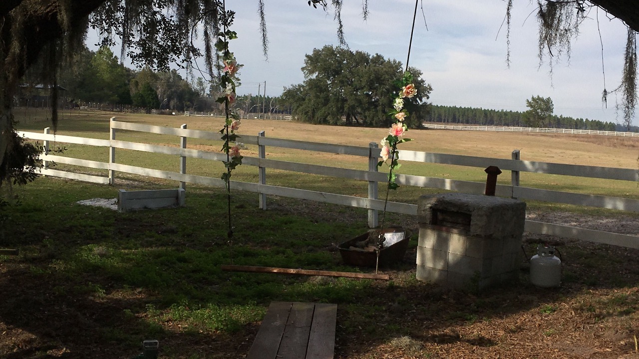 Photo of Others in Live Oak