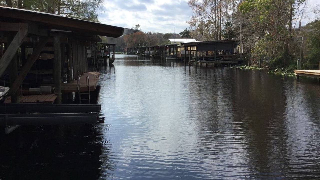 Photo of Others in Satsuma