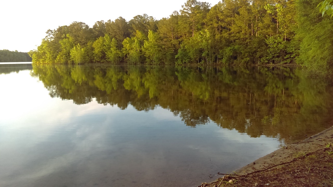 Photo of Others in Chambers County