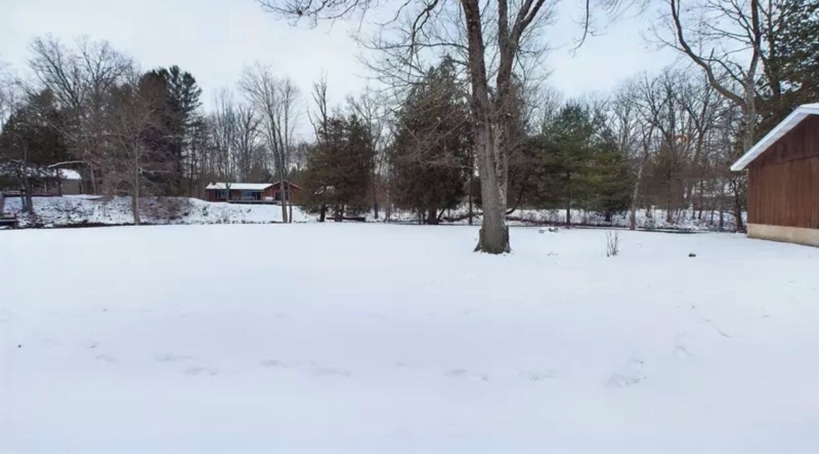 Photo of Outdoor in Branch