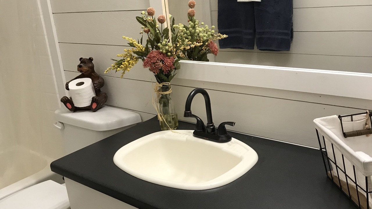 Photo of Bathroom in Blue Ridge